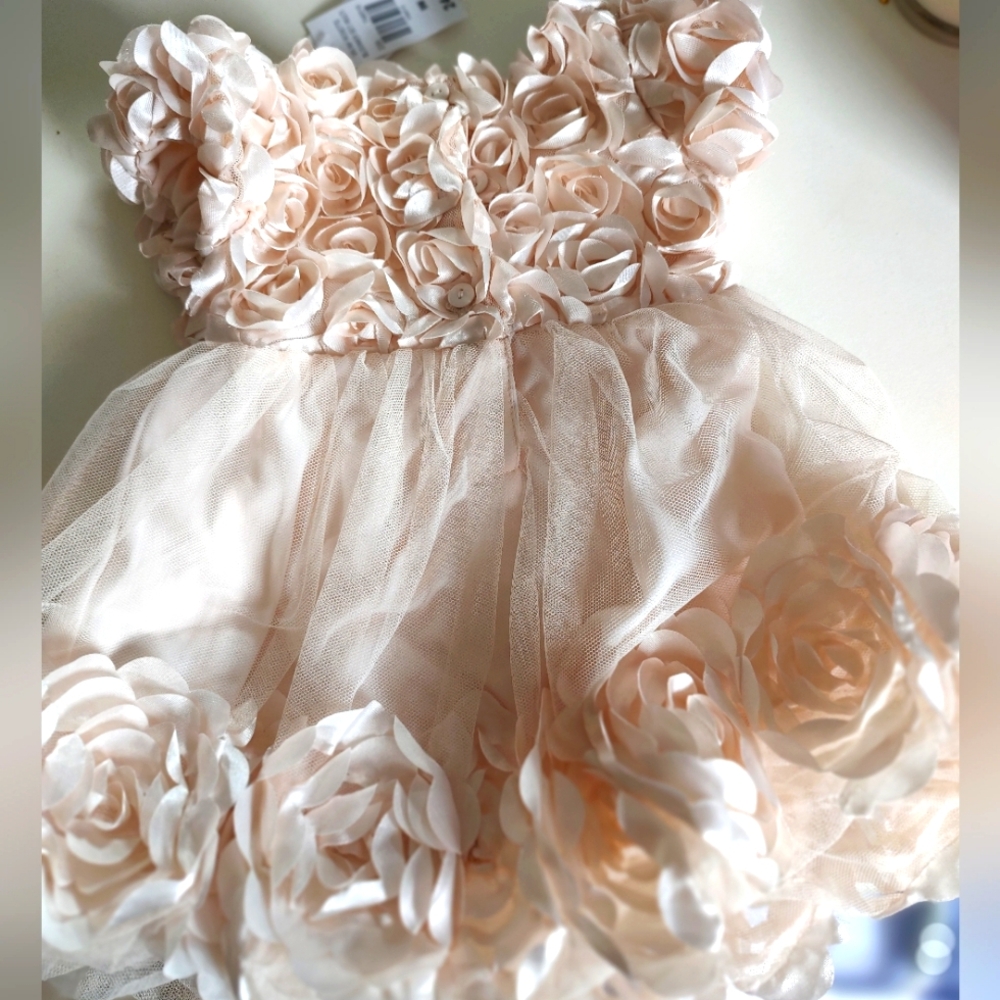 Elegant Peachy PinkFloral Baby Dress - Picture 3 of 4